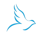 STC logo
